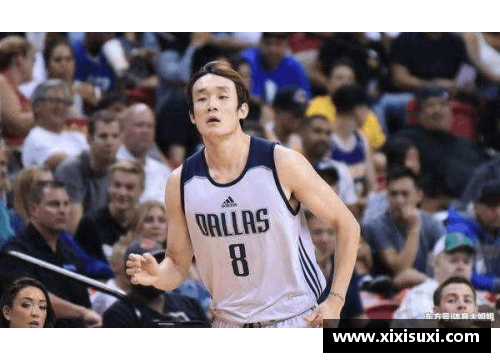 DB视讯官方网站丁彦雨航在NBA小牛队中的惊艳表现