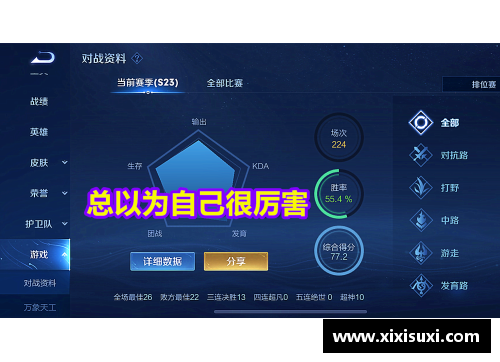 DB视讯官方网站霍芬海姆遭遇连败，危机四伏令人担忧